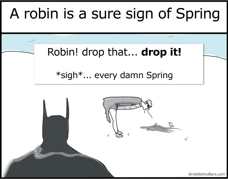 Dependable signs: Robin in Spring comic