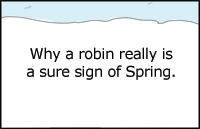 Comic: A Hungry Robin... Must Be Spring - Click to View