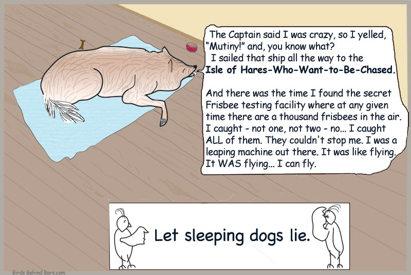 A Dog's Long Tale - Comic