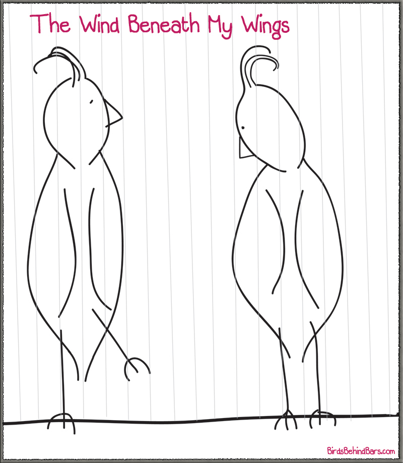 funny bird comic 1